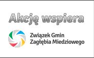 Logo ZGZM