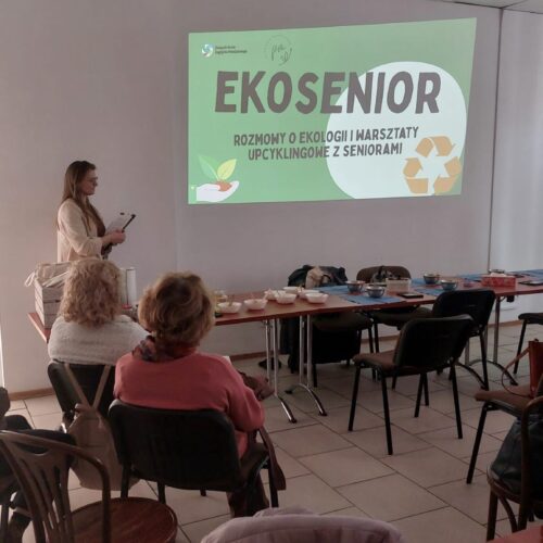 ekosenior