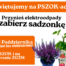 Dzień bez elektrośmieci