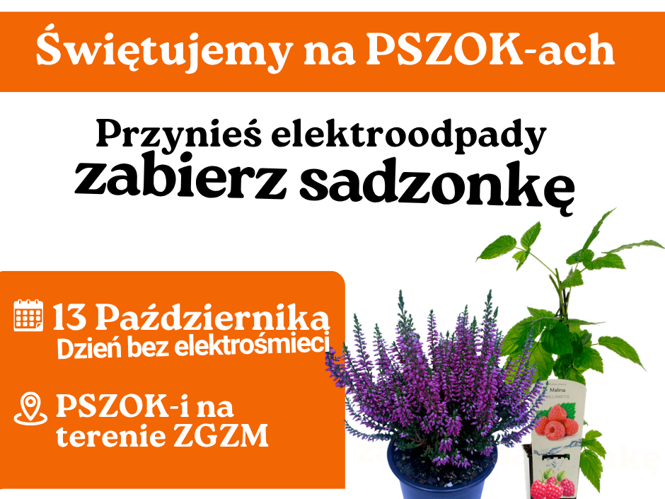 Dzień bez elektrośmieci